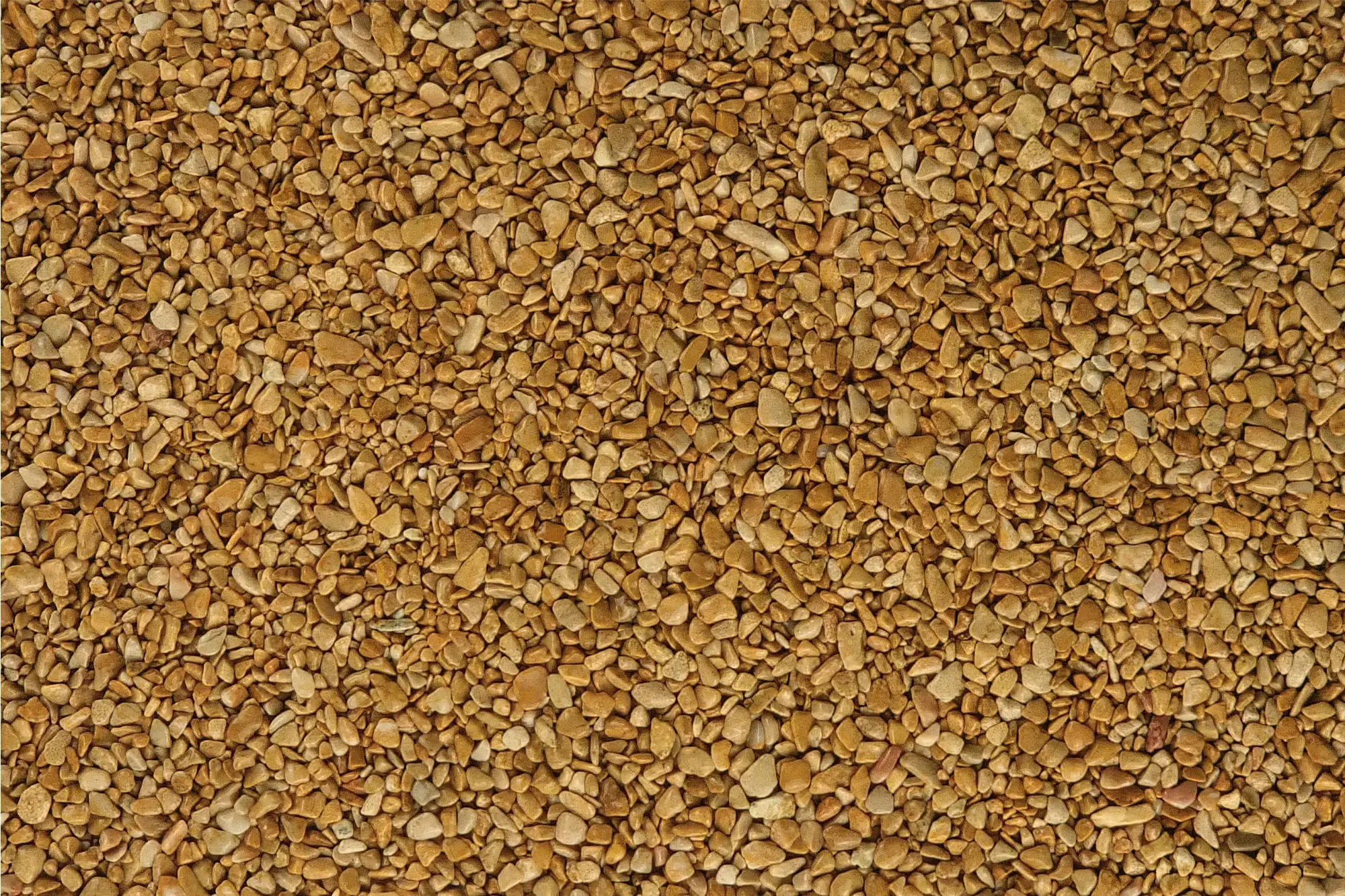 08 - Giaollo Mori 2000x1333